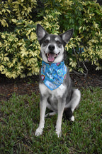 999 Happy Haunts Bandana