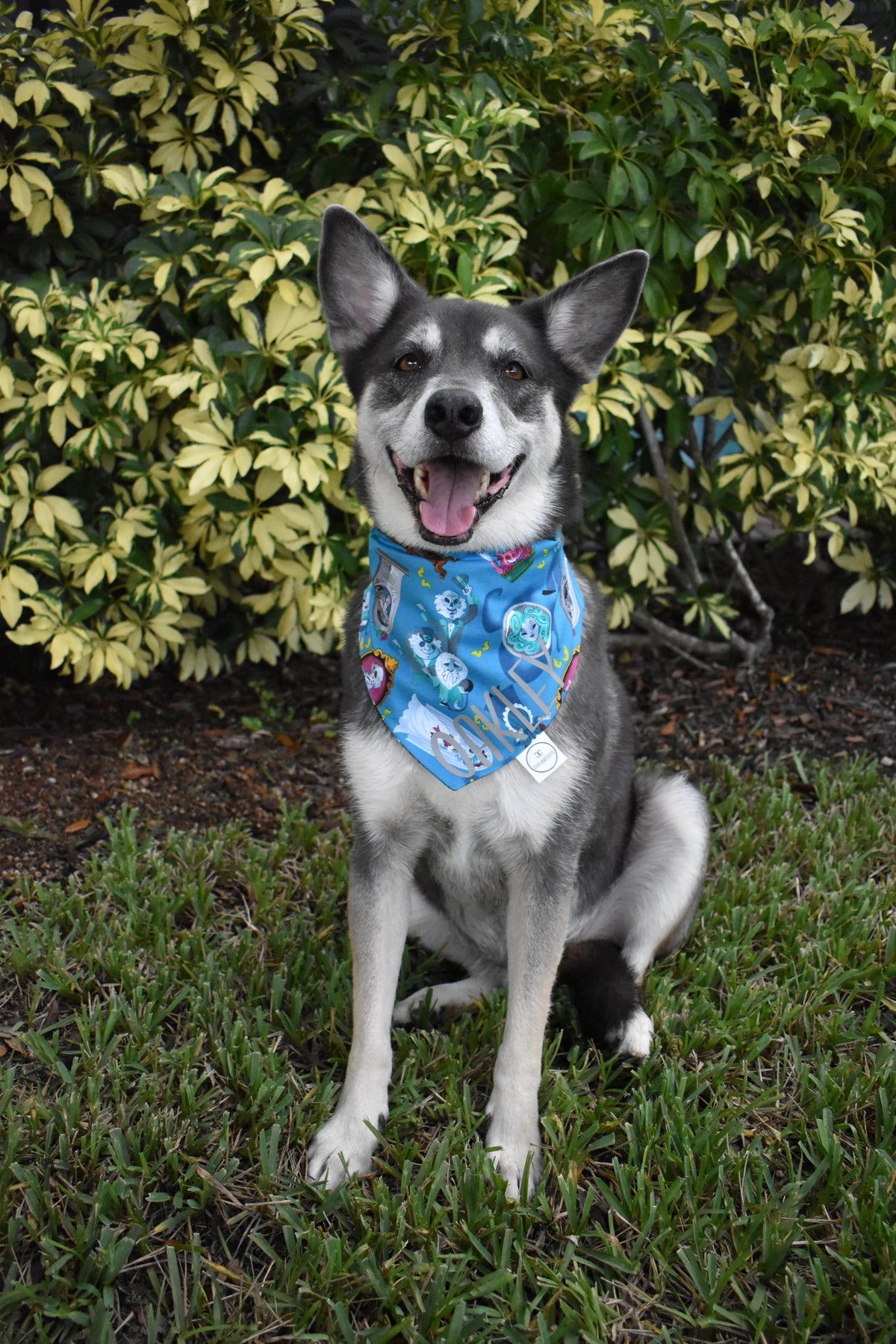 999 Happy Haunts Bandana