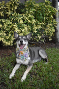 This Is Halloween Bandana