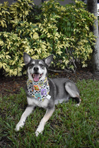 This Is Halloween Bandana