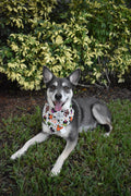 Spooky Mouse Sweets Bandana