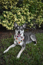 Spooky Mouse Sweets Bandana