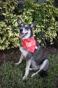 Little Devil Bandana