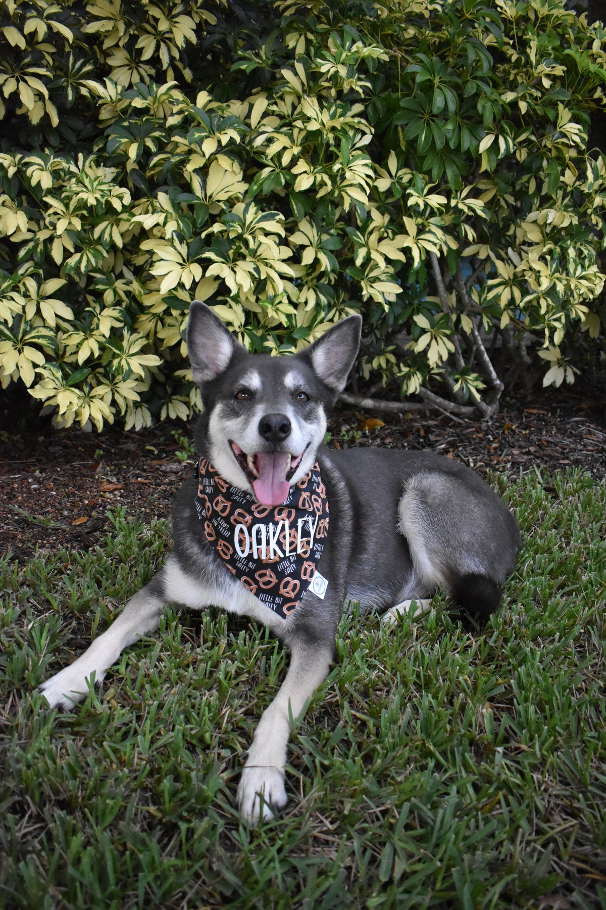 A Little Bit Salty Bandana