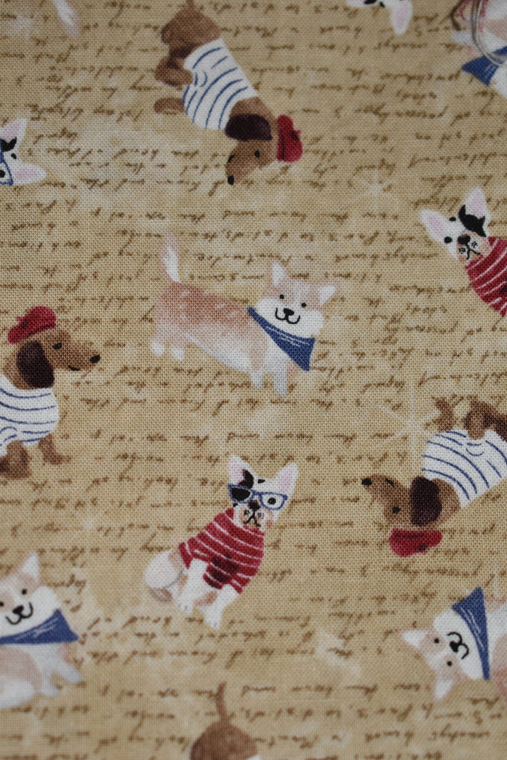 French Dogs Bandana