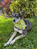 Floral Lemons Bandana