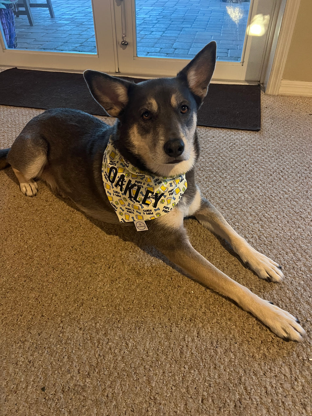 Pups and Pints Bandana