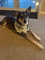 Pups and Pints Bandana
