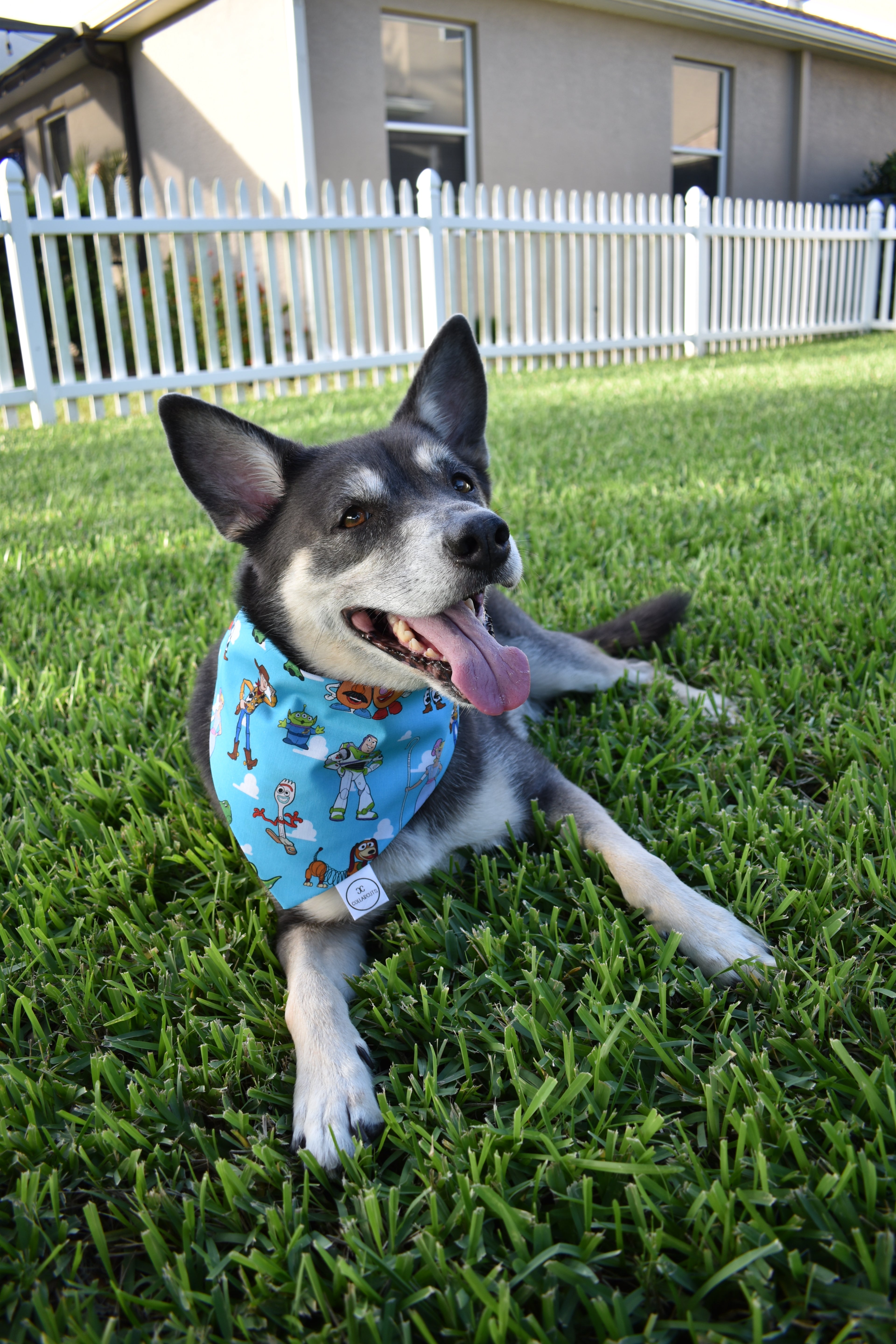 Toy Box Clouds Bandana