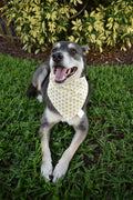 Rubber Ducks Bandana