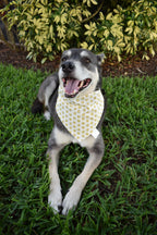 Rubber Ducks Bandana