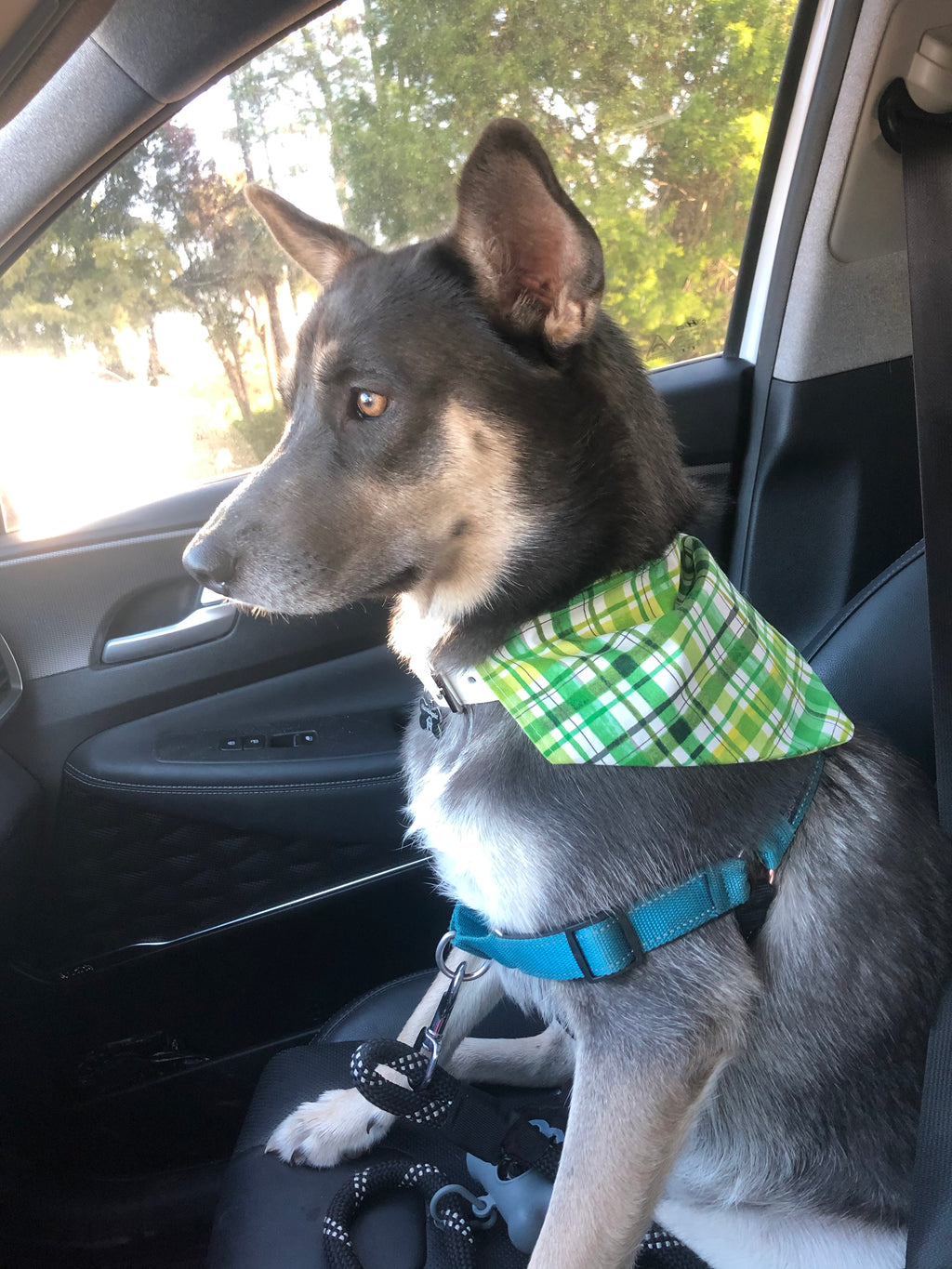 Green Abstract Plaid Bandana