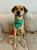 Squirrel Patrol Bandana