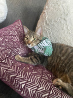 Green Monstera Leaves Bandana