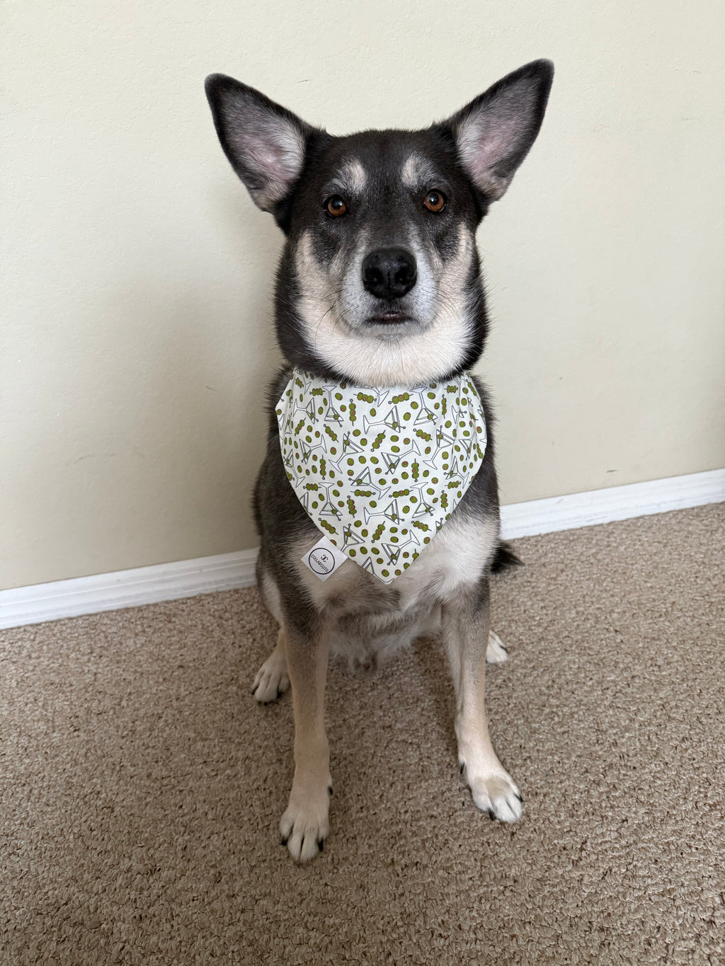 Olive Muttini's Bandana
