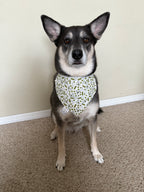 Olive Muttini's Bandana