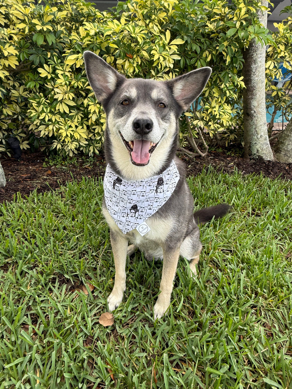 Dark Side Bandana