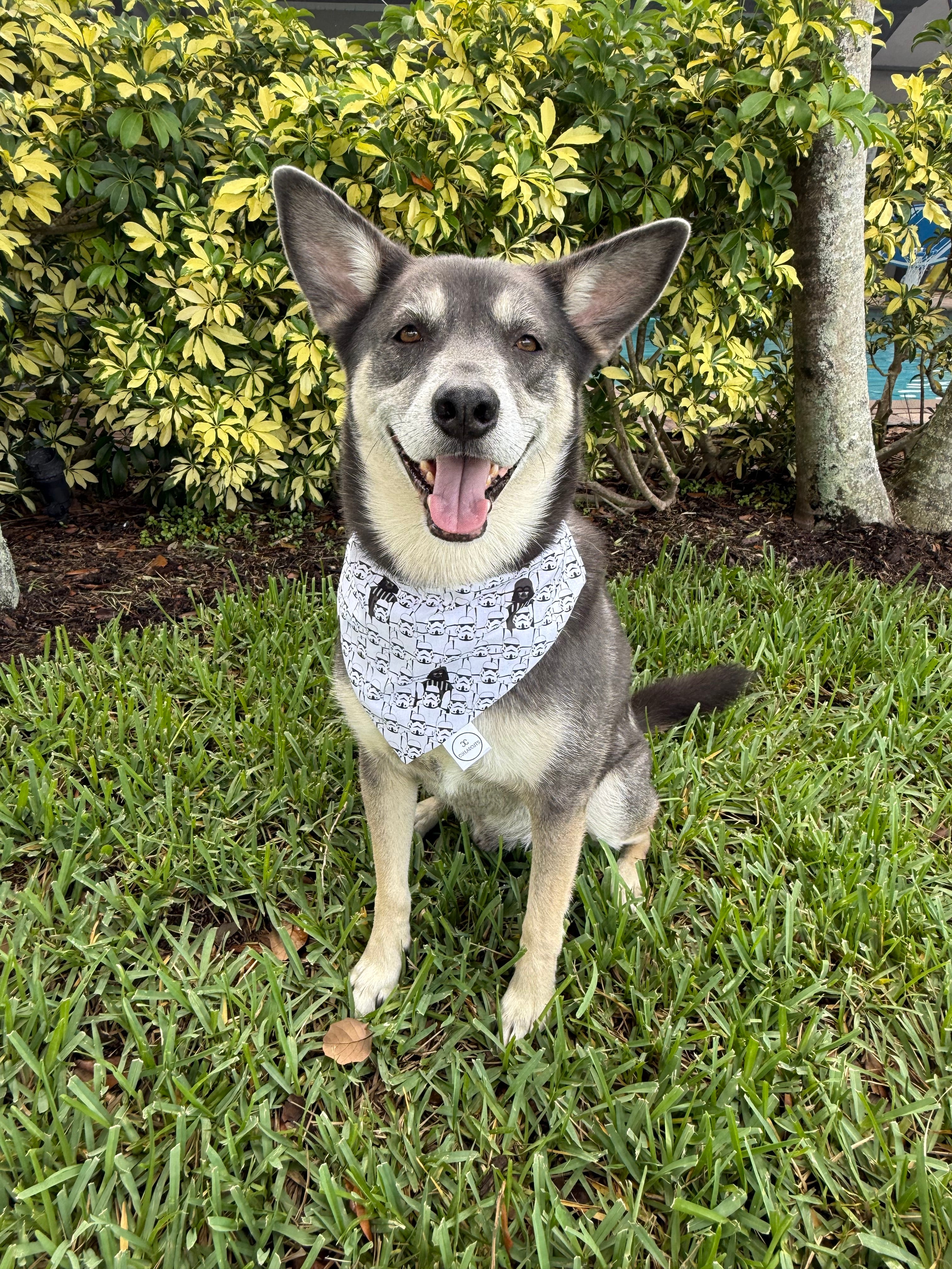 Dark Side Bandana