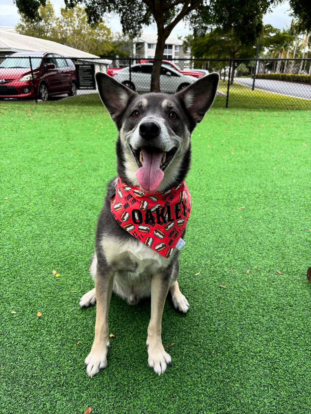 I Love You Smore Bandana