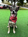 I Love You Smore Bandana
