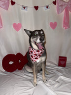 Love Bugs Bandana