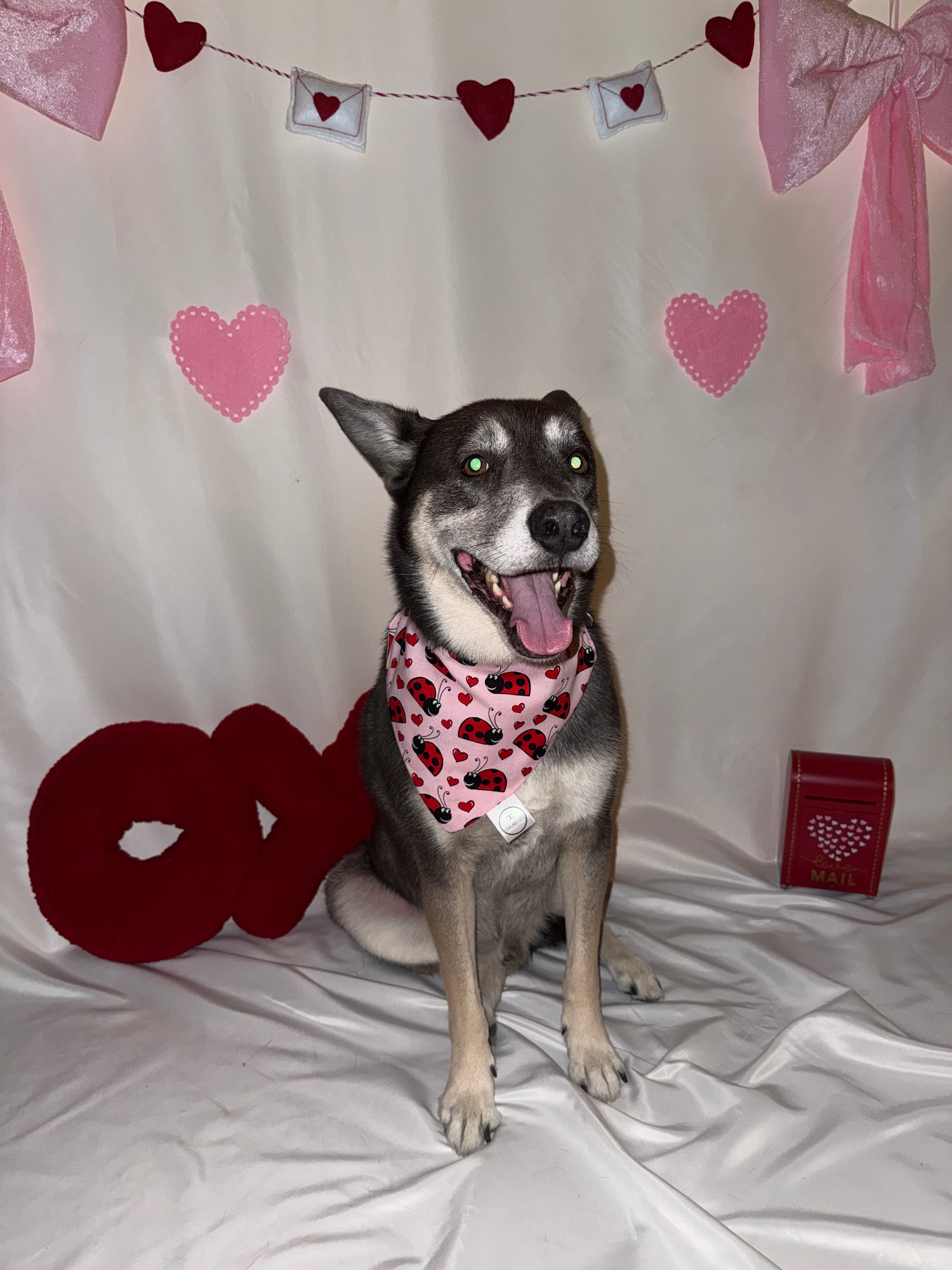 Love Bugs Bandana