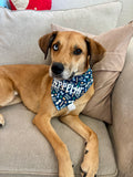 Treat Taster Bandana