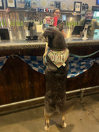 Oktoberfest Bandana