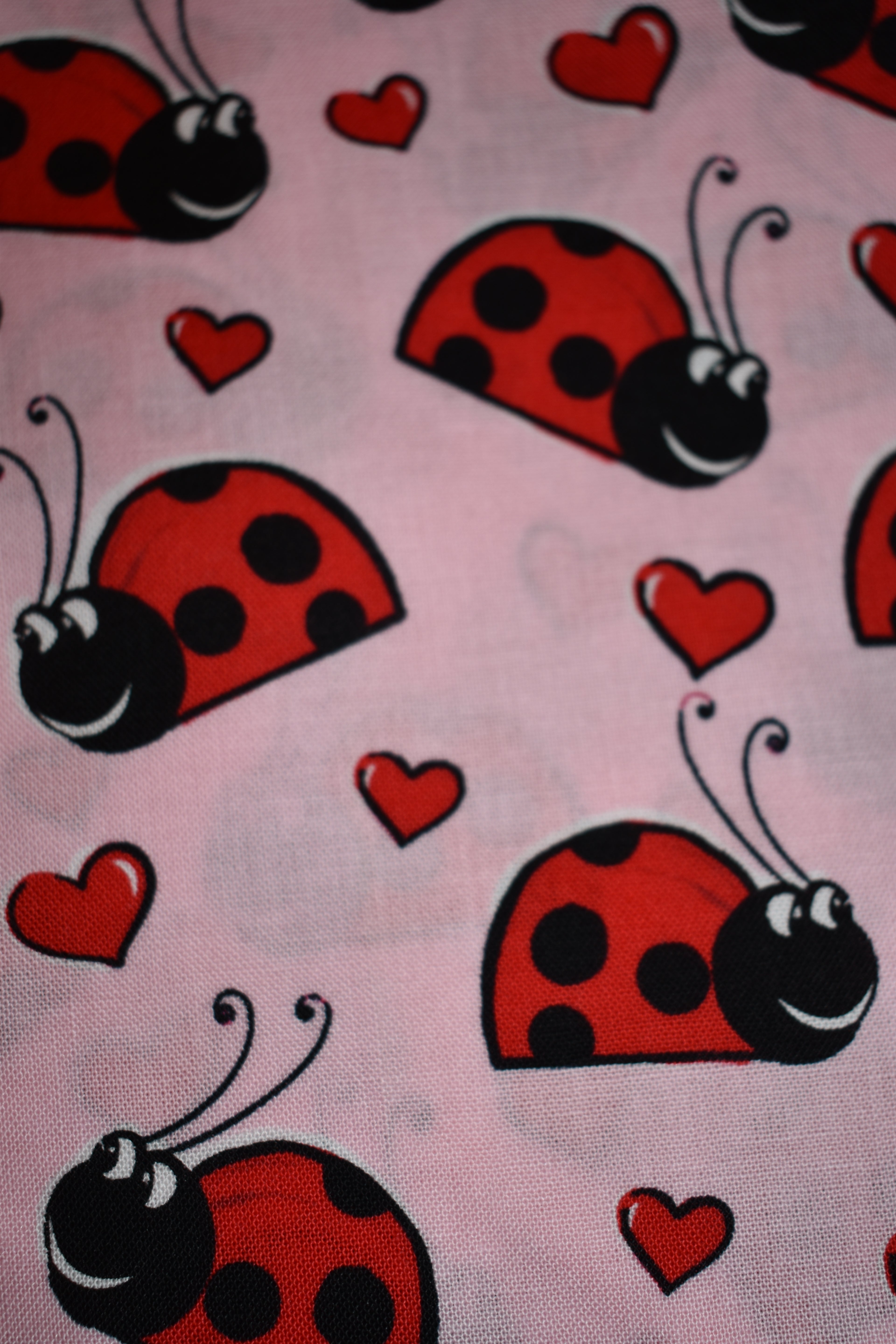 Love Bugs Bandana