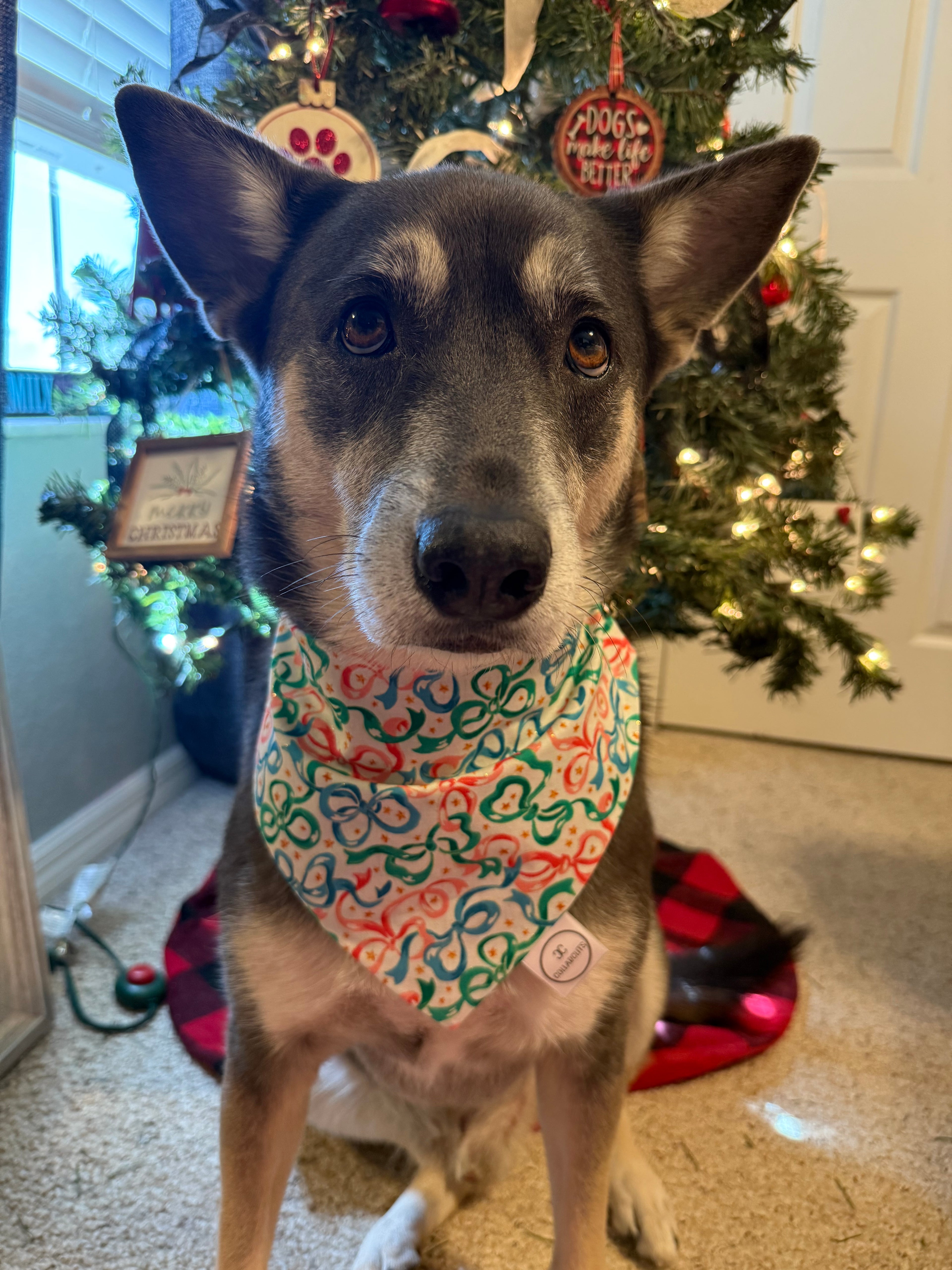 Glitter Bows Bandana