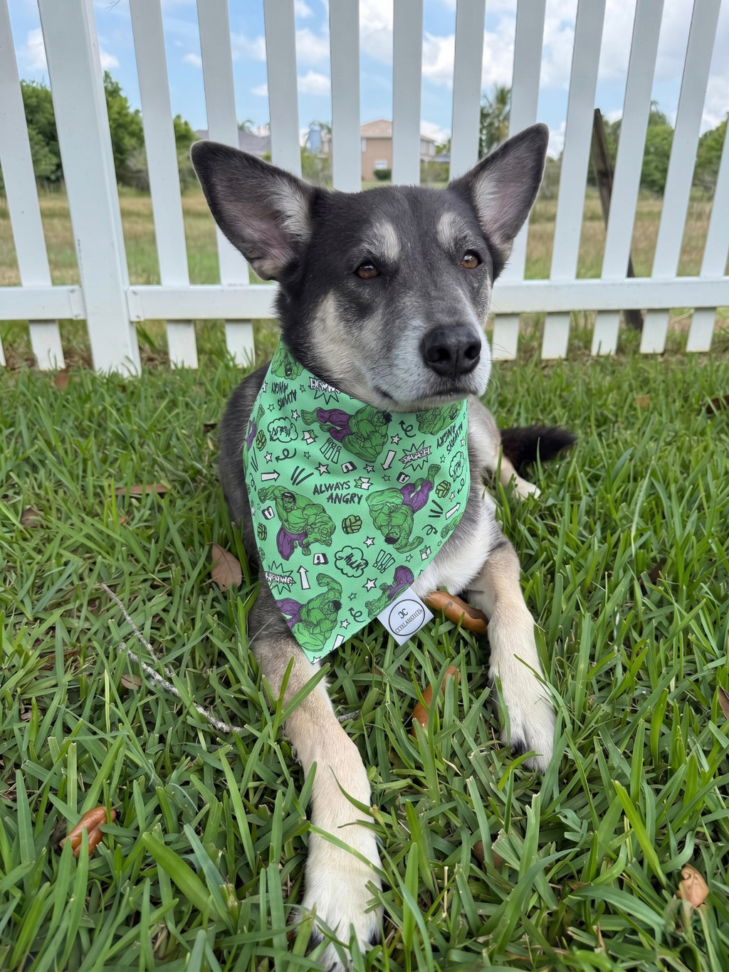 Smash Bandana