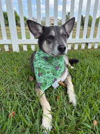 Smash Bandana