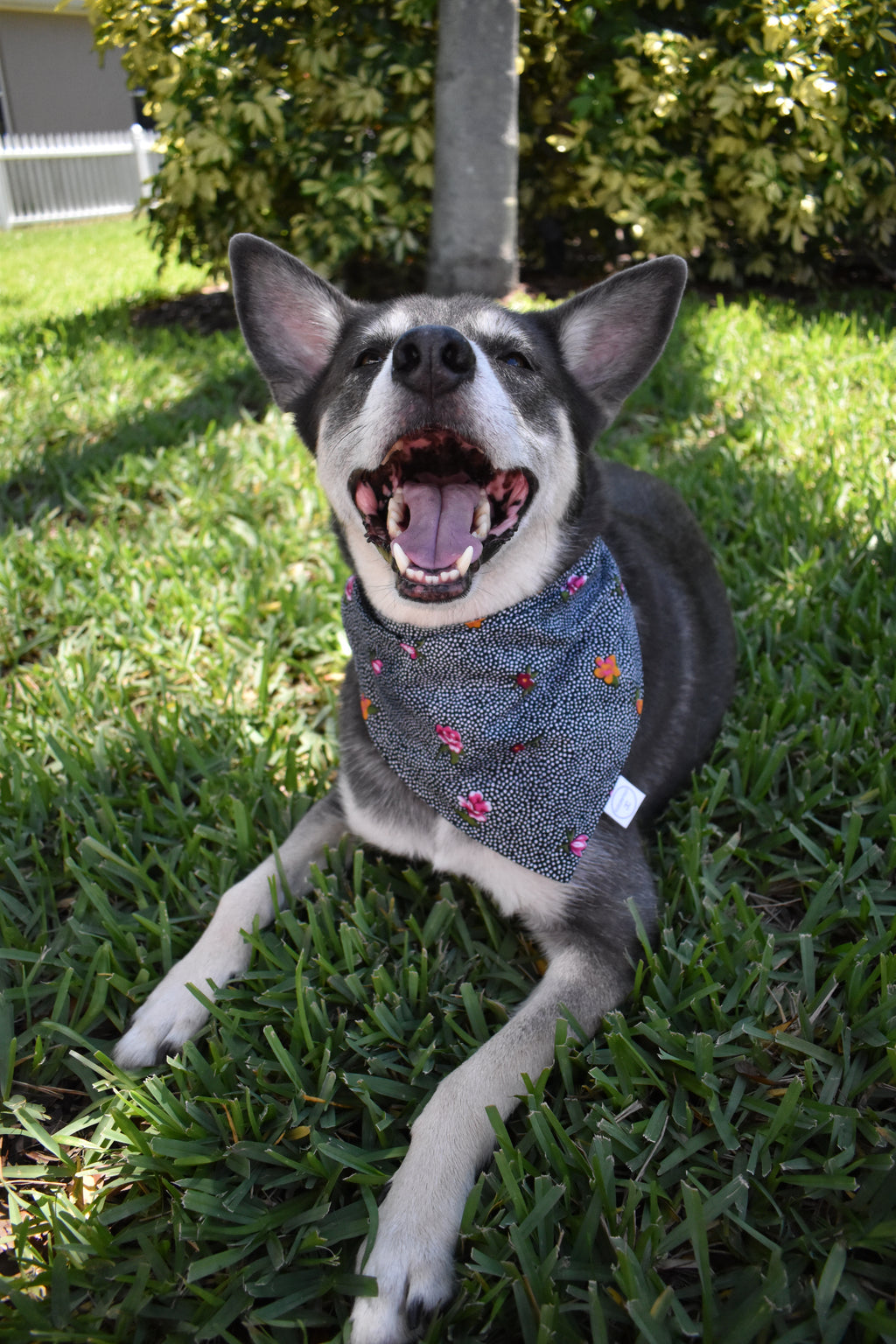 Polka Dot Florals Bandana