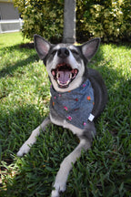 Polka Dot Florals Bandana