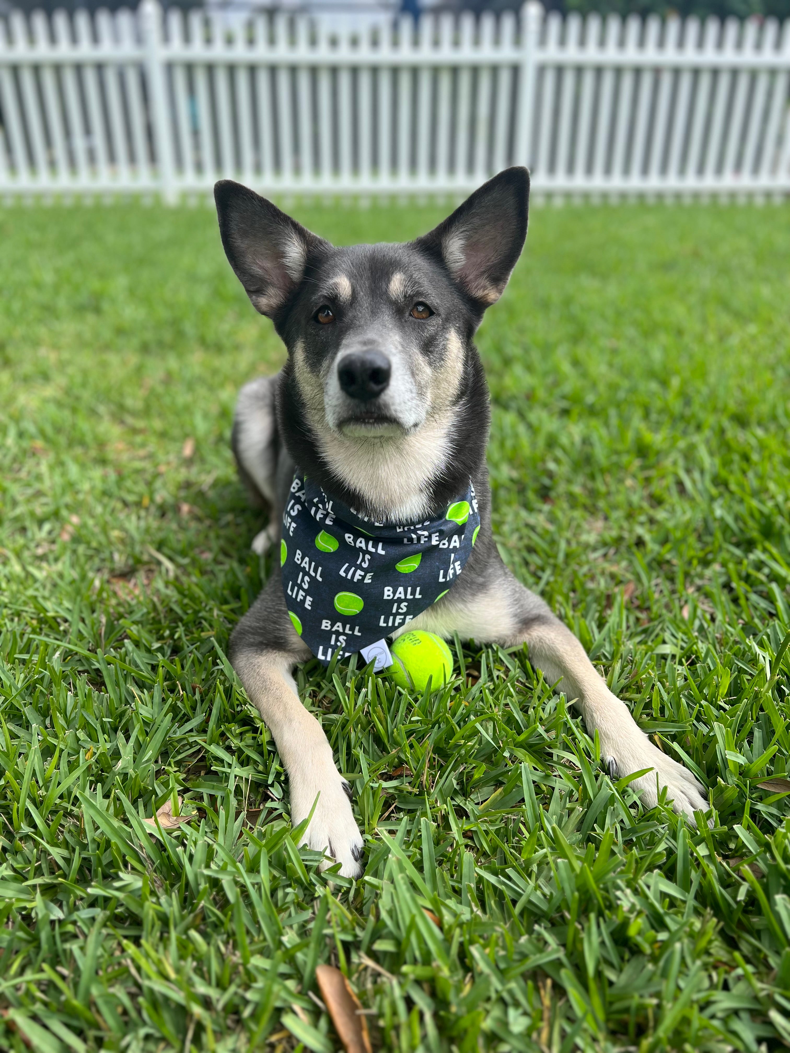 Ball is Life Bandana