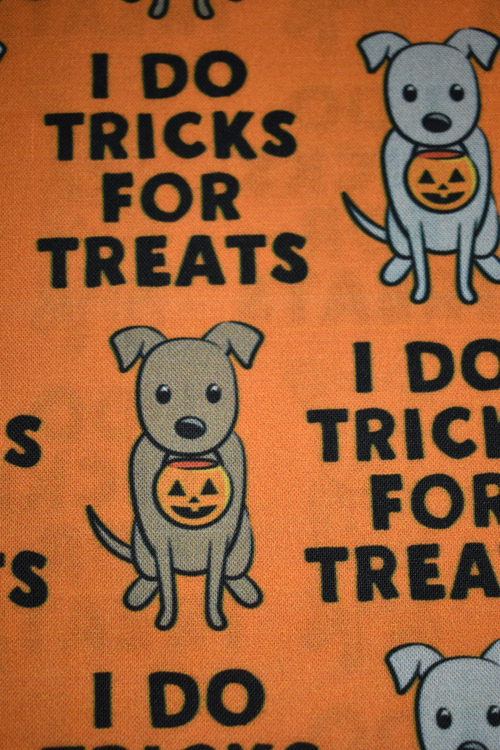 Tricks for Treats Bandana
