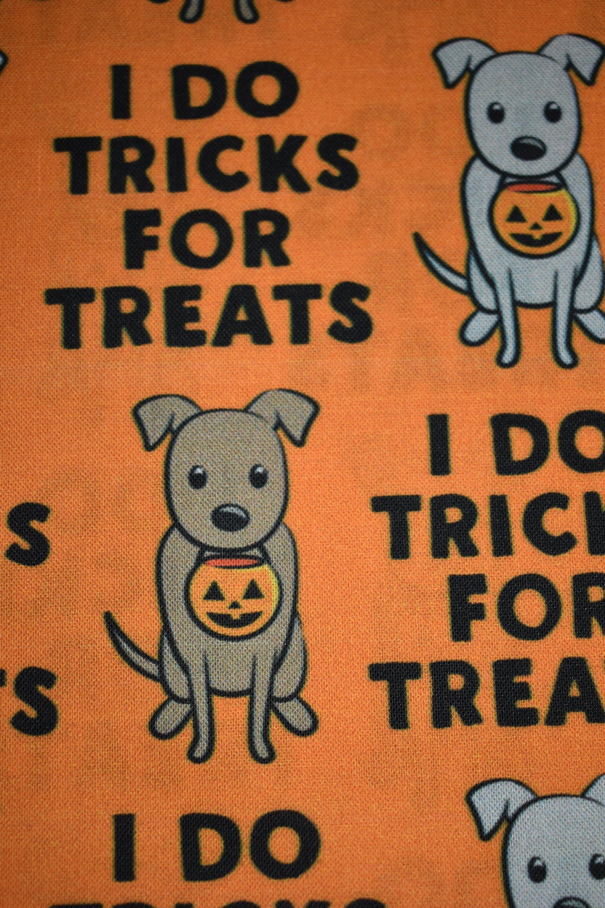 Tricks for Treats Bandana