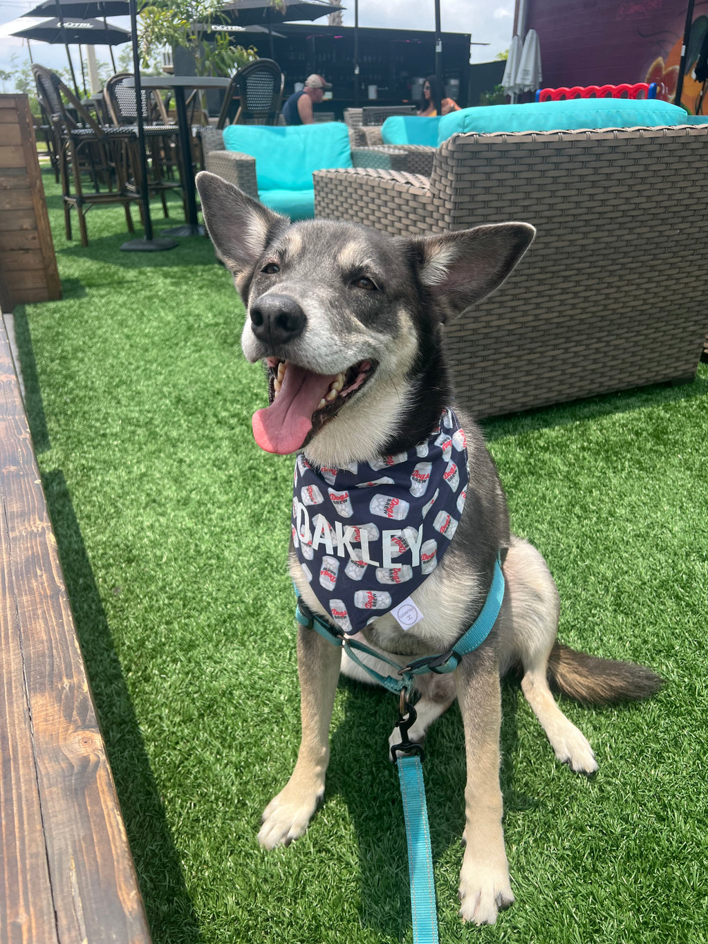 Dog Brews Bandana