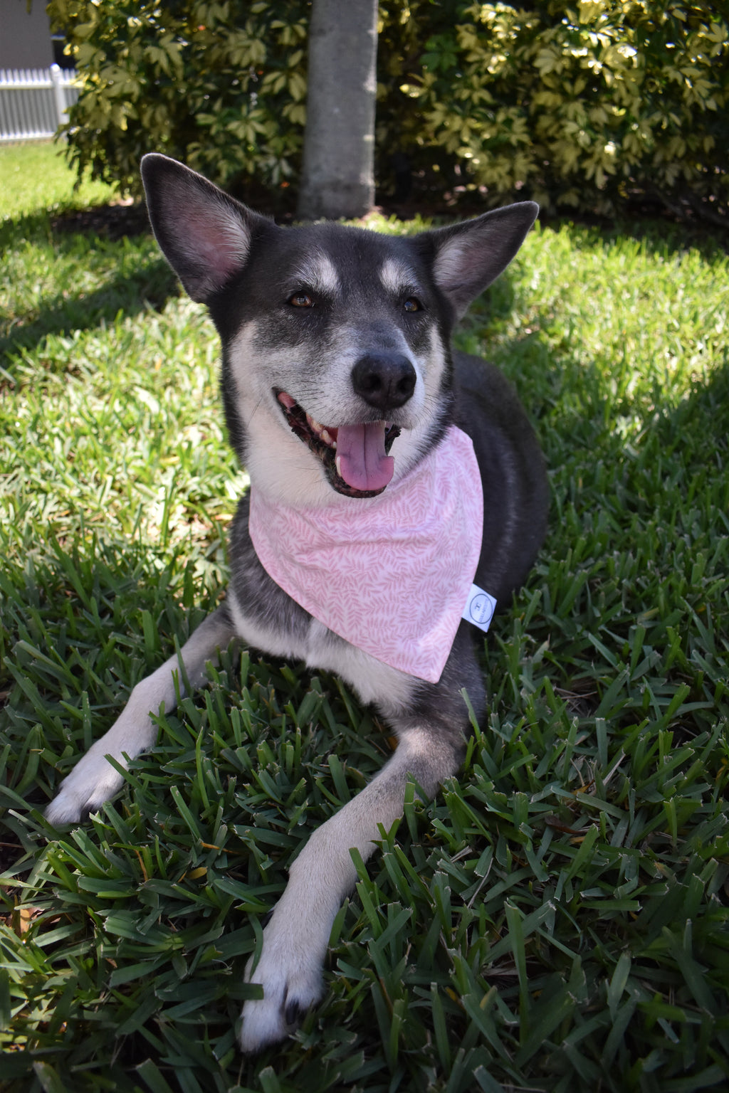 Pink Palm Leaves Bandana