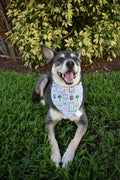Summer Stamps Bandana