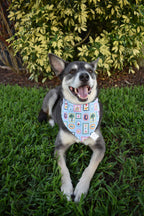 Summer Stamps Bandana