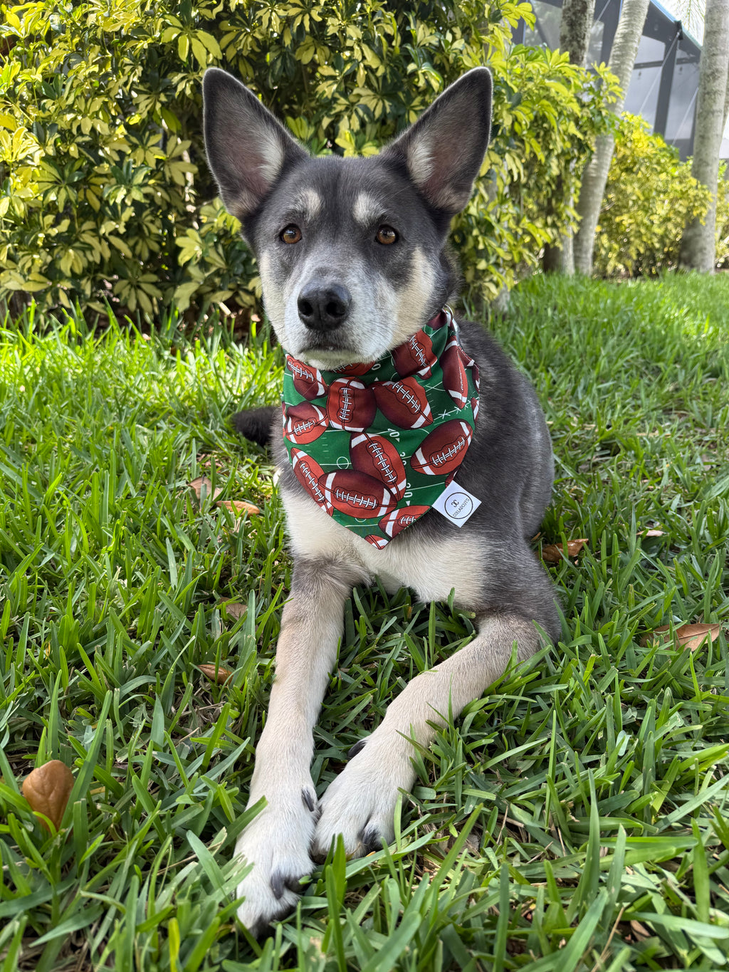 Football Field Bandana