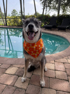 Hawaiian Flowers Bandana