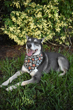 Safari Stamps Bandana
