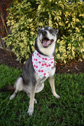 Disco Ball Cherries Bandana