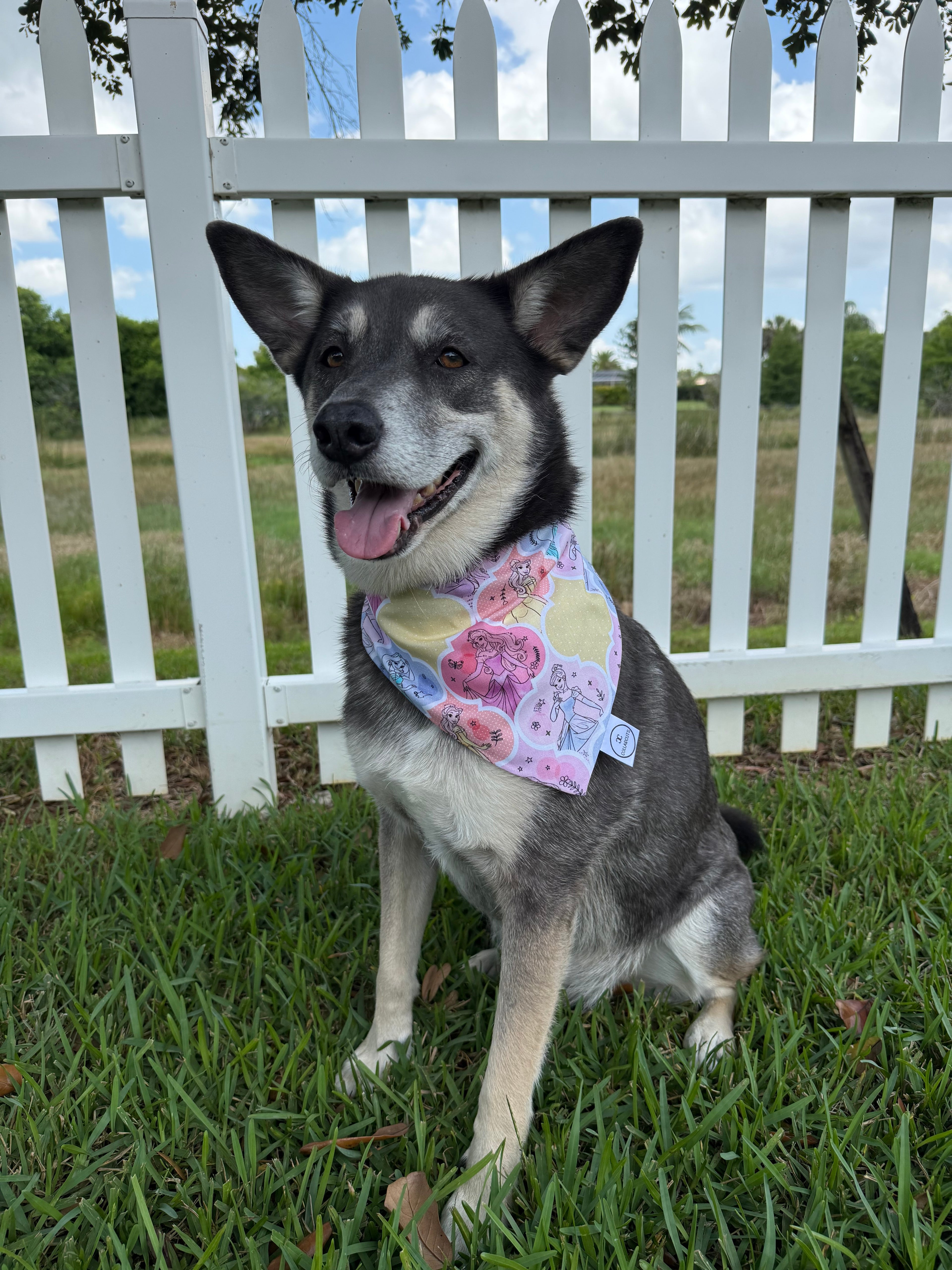 Magical Princesses Bandana
