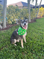 Bat Brews Bandana