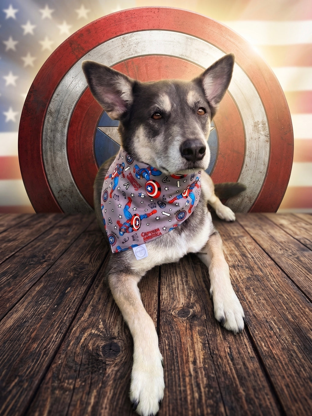 Shield Bandana