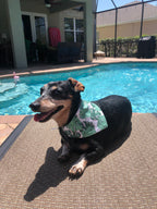 Green Monstera Leaves Bandana