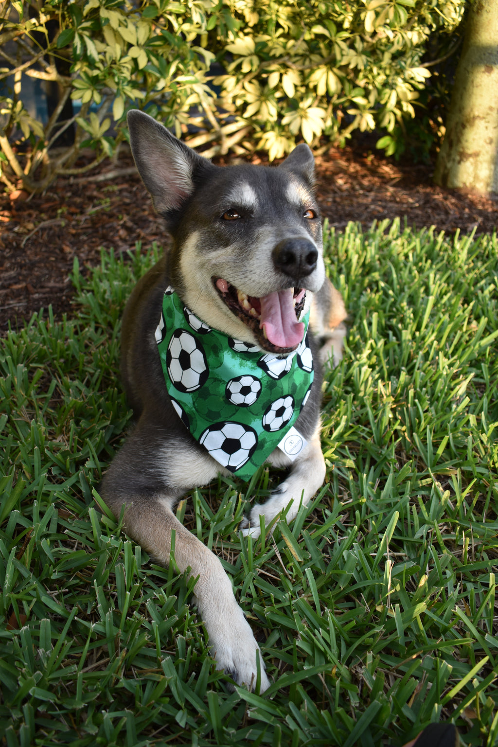 Soccer Bandana